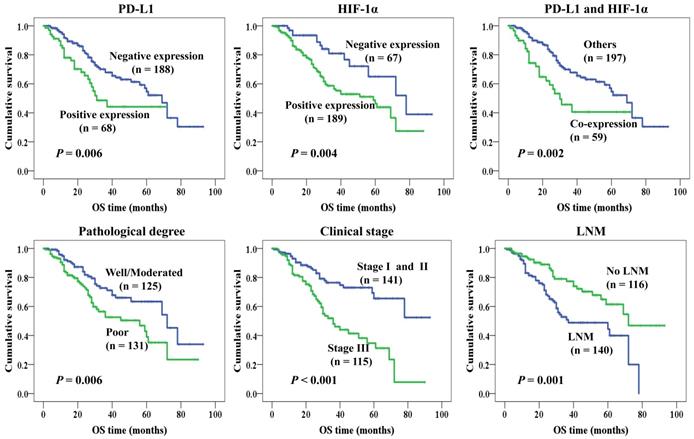 J Cancer Image