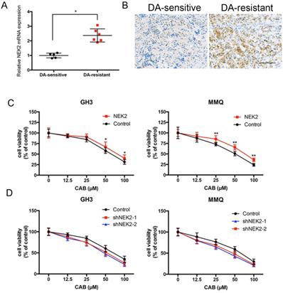 J Cancer Image