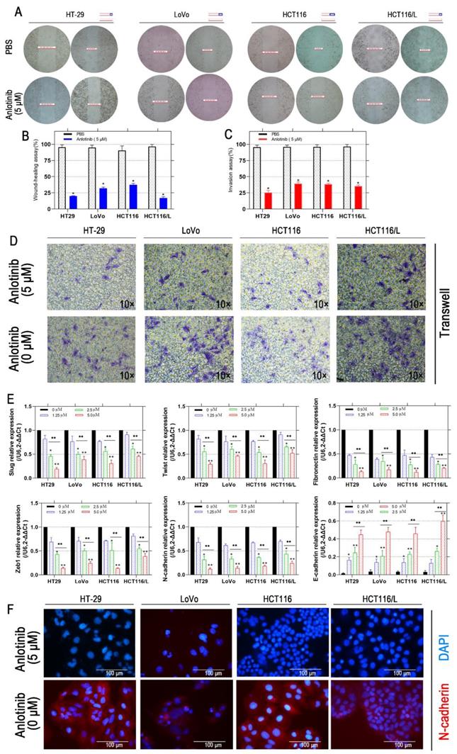 J Cancer Image