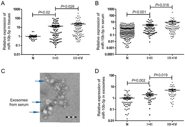 J Cancer Image