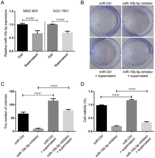 J Cancer Image