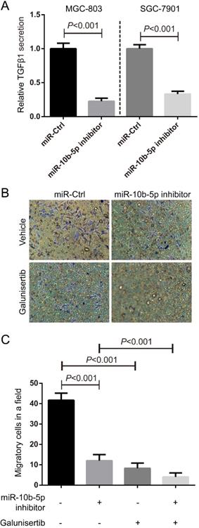 J Cancer Image