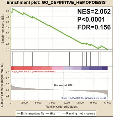 J Cancer Image