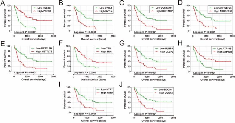 J Cancer Image