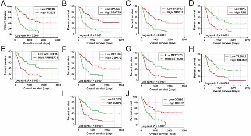 J Cancer Image