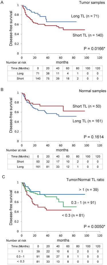 J Cancer Image