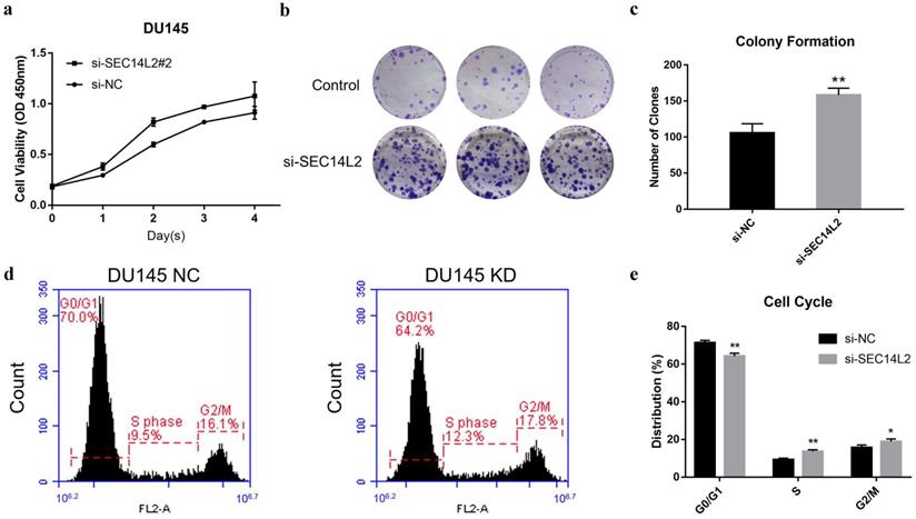 J Cancer Image