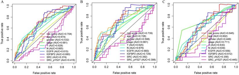 J Cancer Image