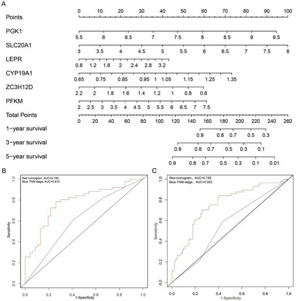 J Cancer Image