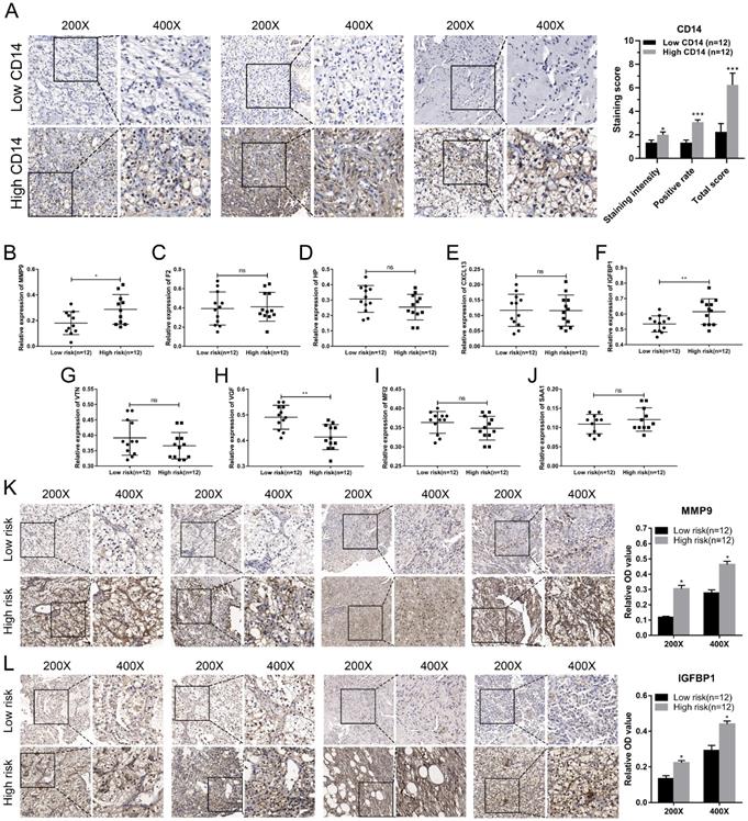 J Cancer Image