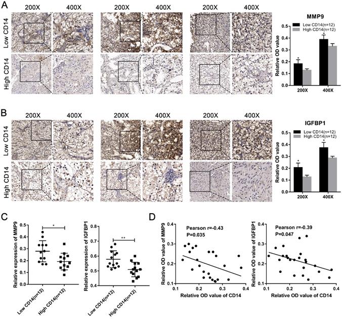 J Cancer Image