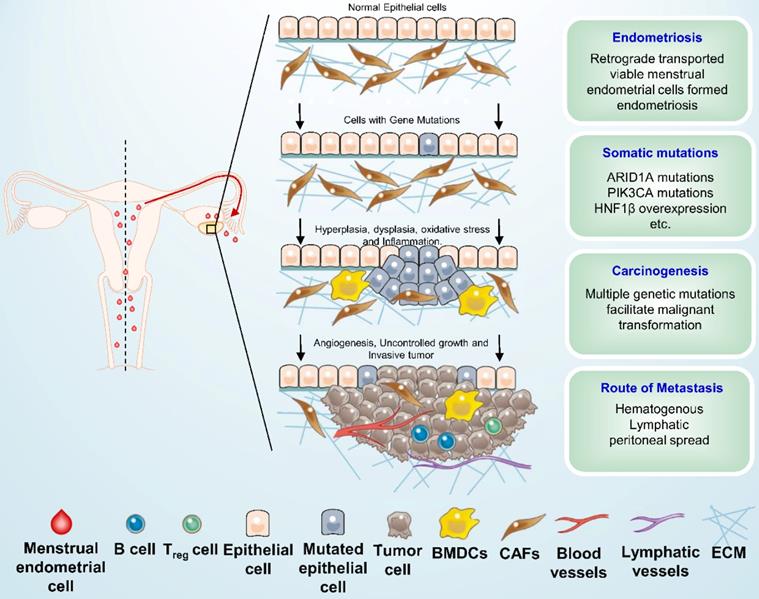 J Cancer Image