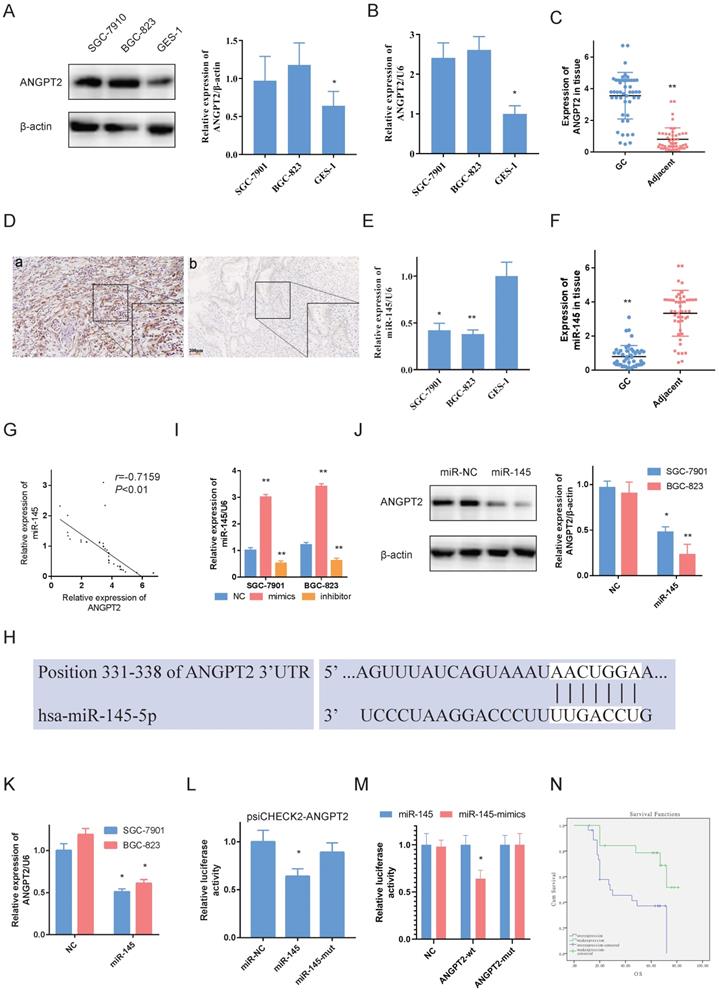 J Cancer Image