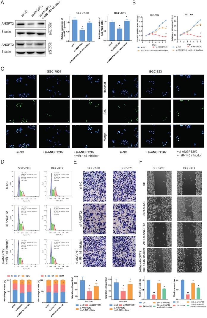 J Cancer Image