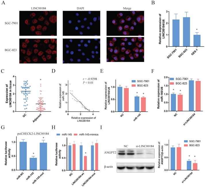 J Cancer Image