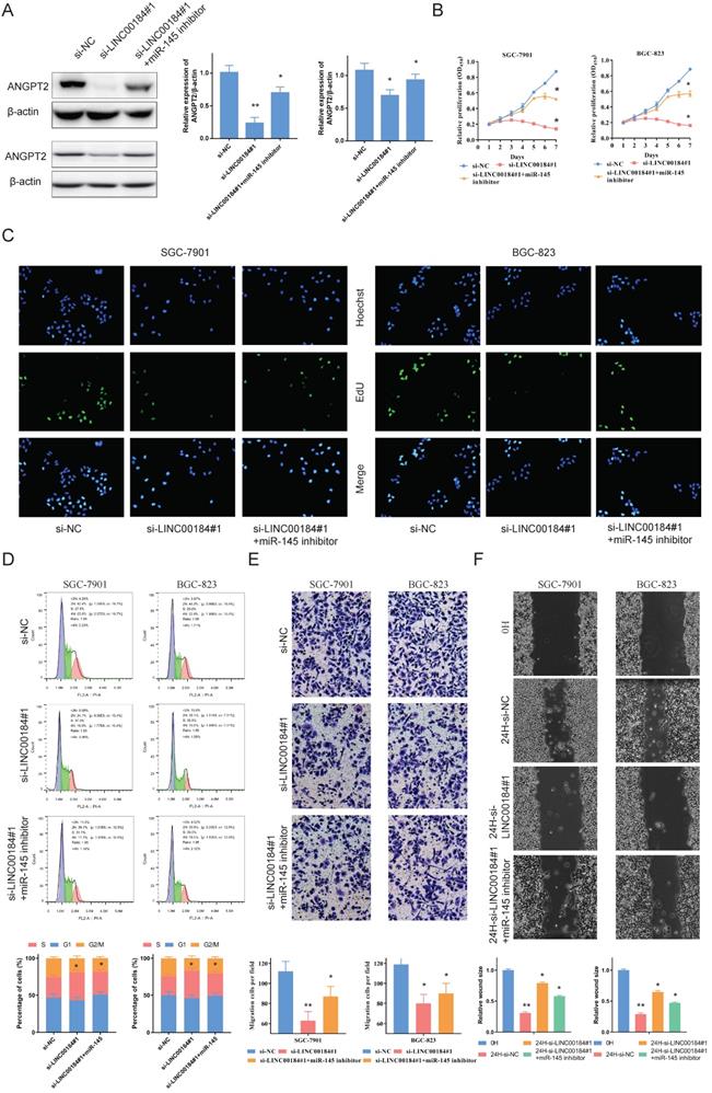 J Cancer Image