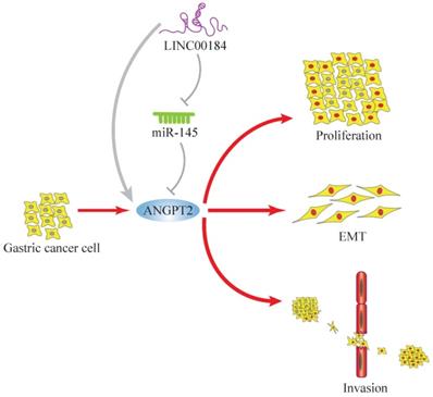 J Cancer Image