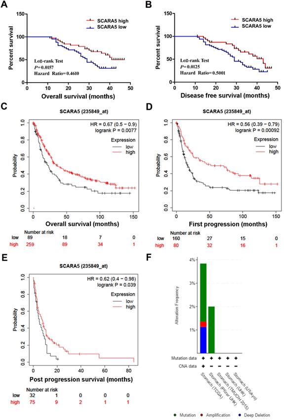 J Cancer Image