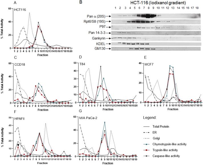 J Cancer Image