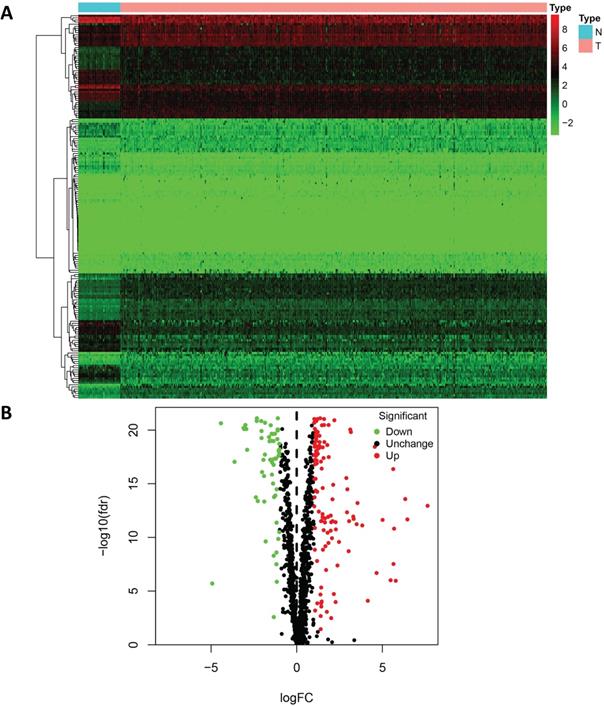 J Cancer Image