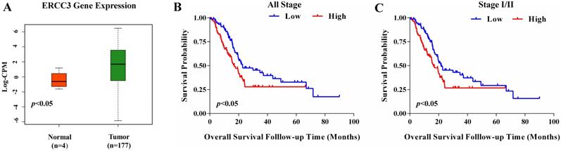 J Cancer Image