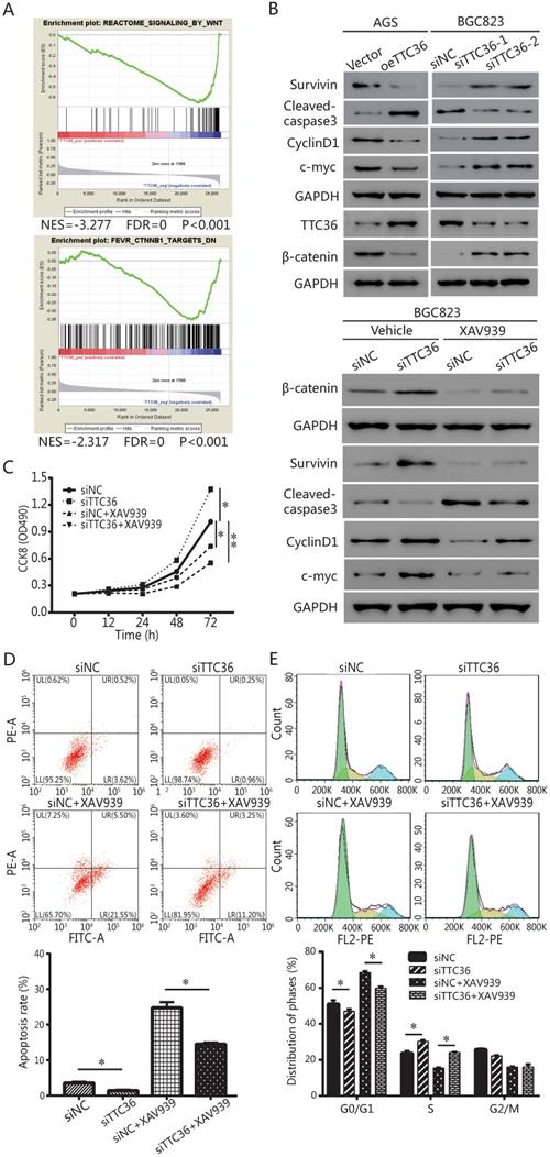 J Cancer Image