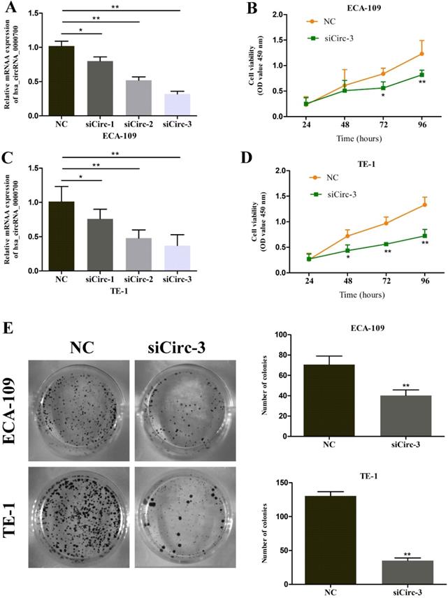 J Cancer Image