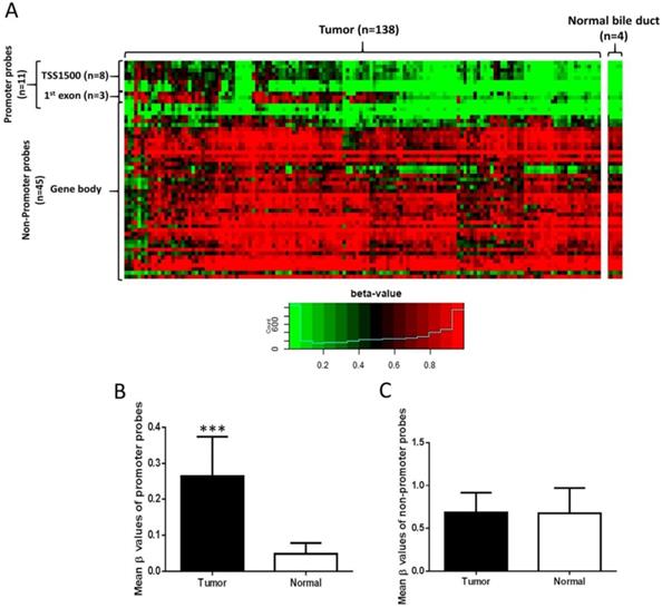 J Cancer Image