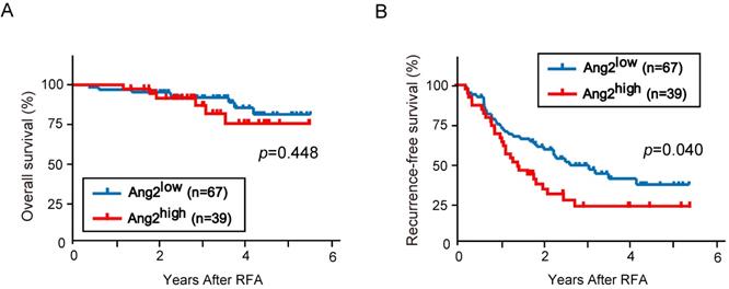 J Cancer Image