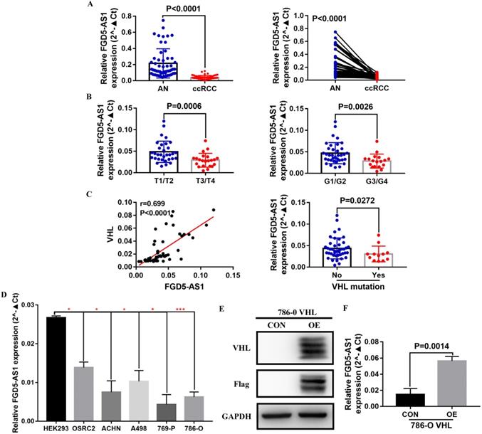 J Cancer Image