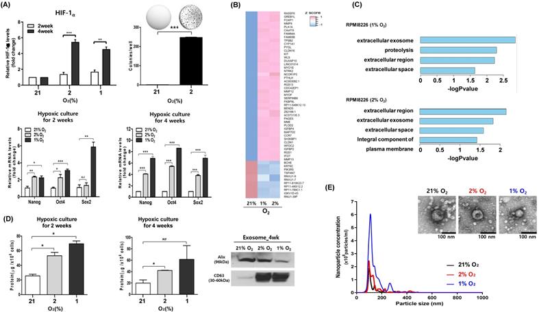 J Cancer Image