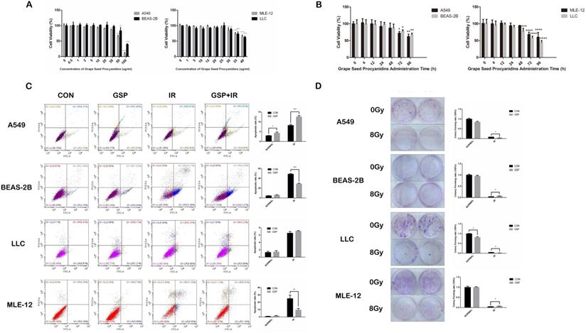 J Cancer Image