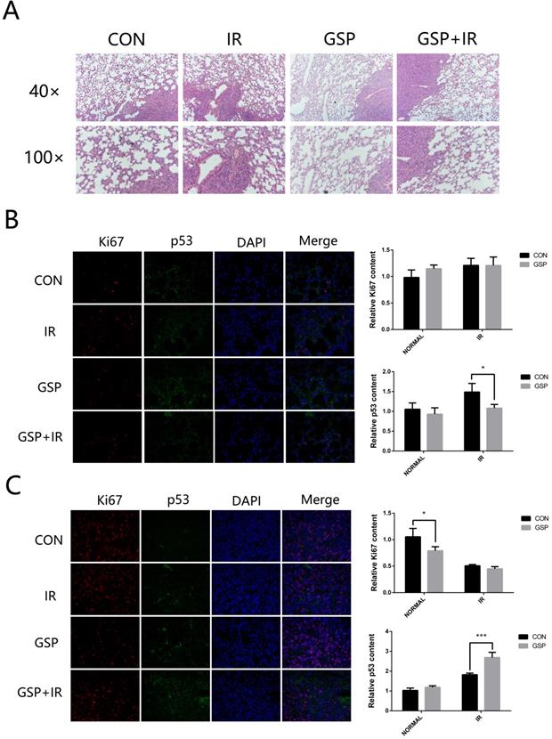 J Cancer Image