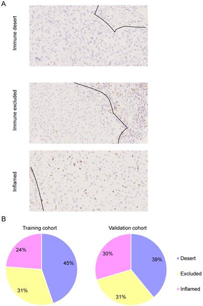 J Cancer Image