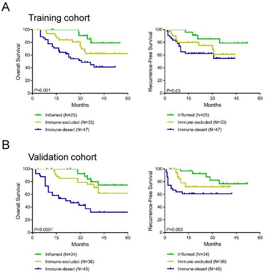 J Cancer Image