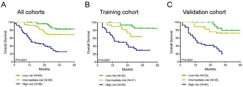 J Cancer Image