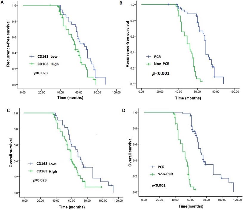 J Cancer Image