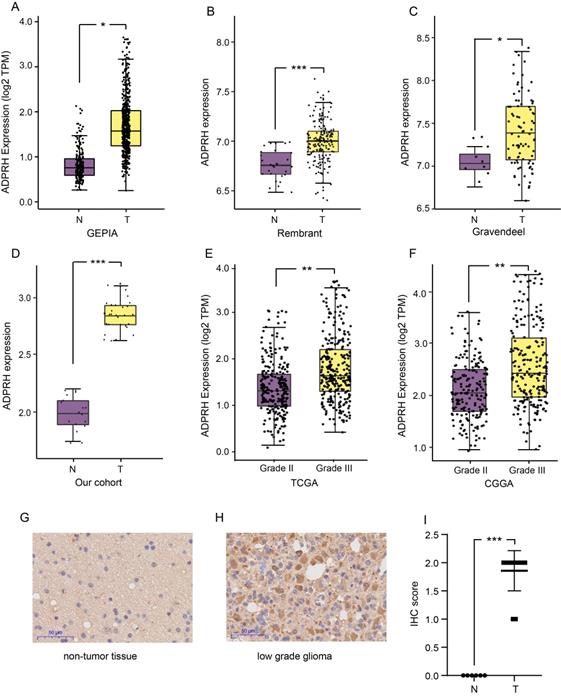 J Cancer Image