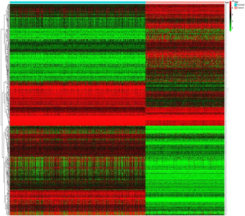 J Cancer Image