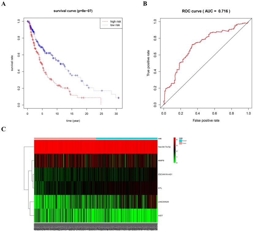 J Cancer Image