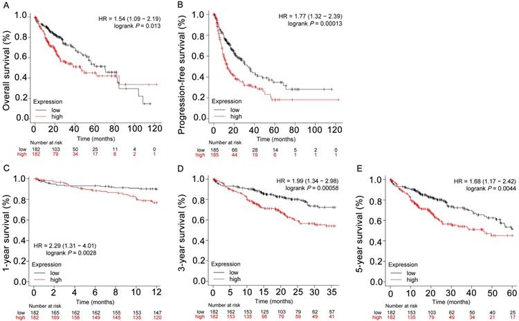 J Cancer Image