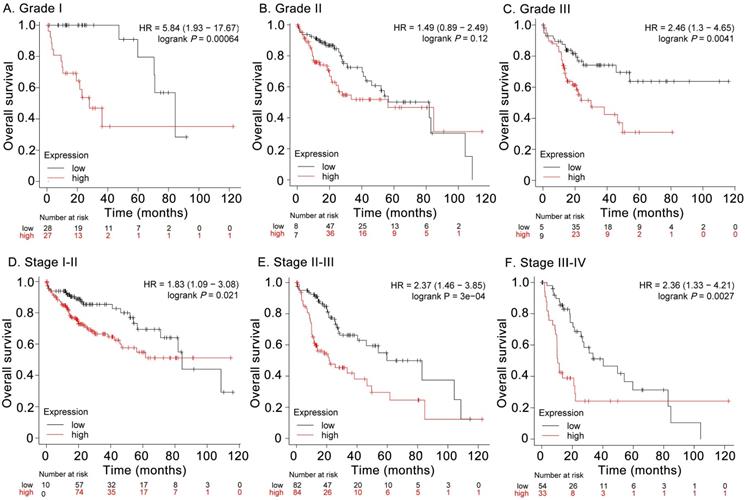 J Cancer Image