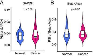 J Cancer Image