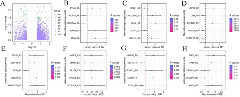 J Cancer Image