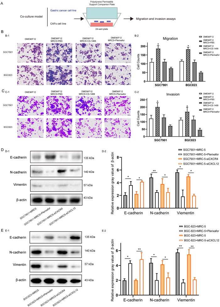 J Cancer Image