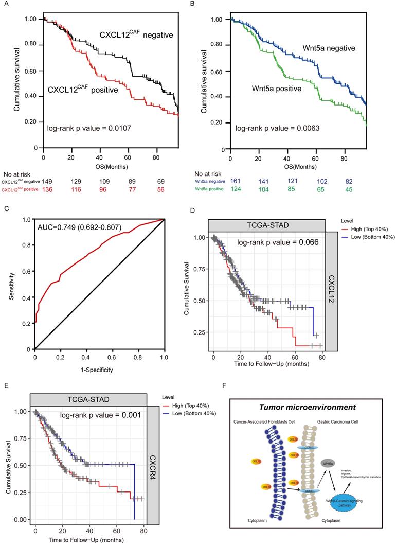 J Cancer Image