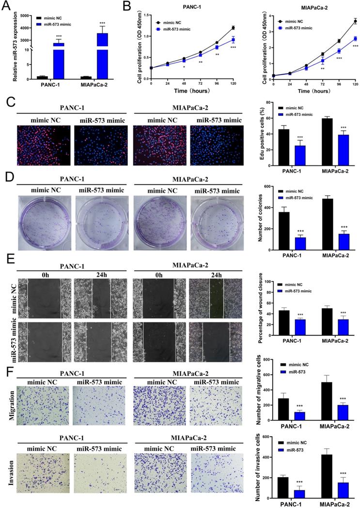 J Cancer Image