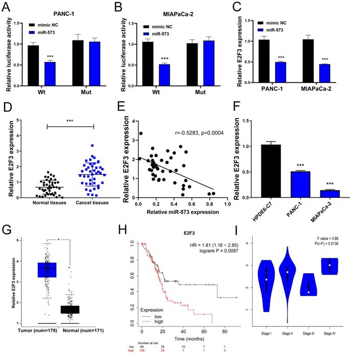 J Cancer Image