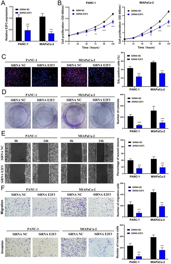 J Cancer Image