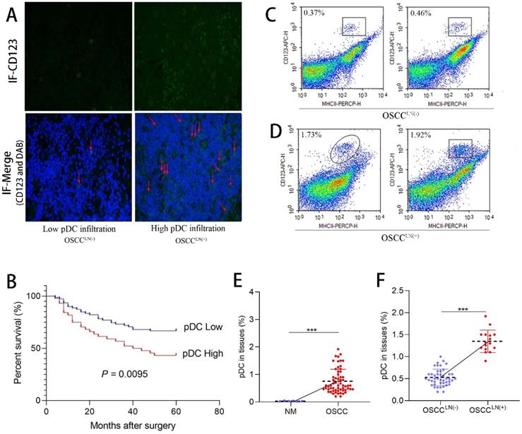 J Cancer Image